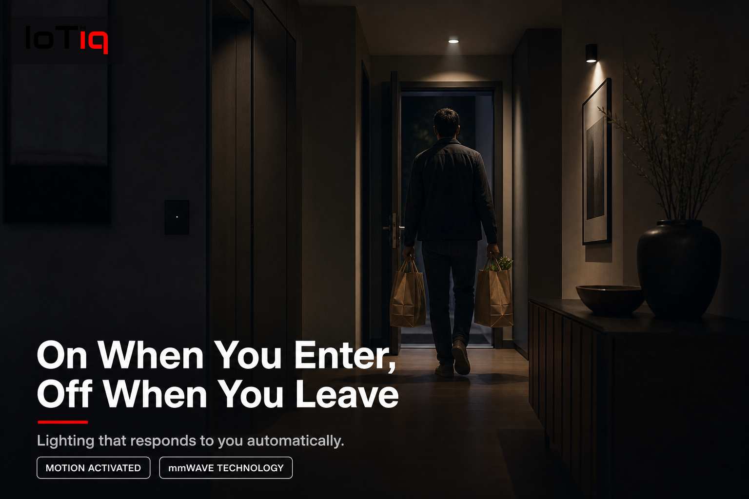 Motion-activated lighting in a luxury home hallway, lights turning on as a person enters with groceries.